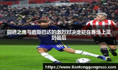 熊猫体育登录入口