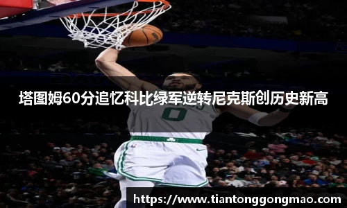 熊猫体育登录入口